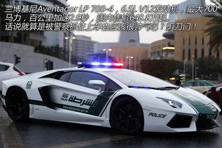 郑州警车爆料视频最新版